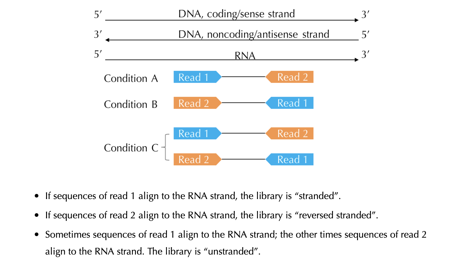 Identify The Strandedness Of Rna Seq Data Dewan Shrestha Identify The Strandedness Of Rna Seq Data Dewan Shrestha